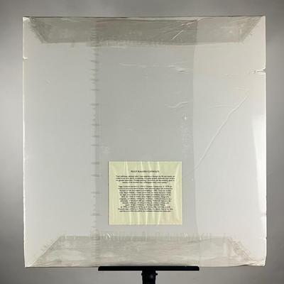 180 Original Mono print by Peggy Corthouts “Cedar Grove”