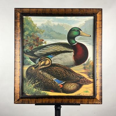 184 Print Of Mallard Ducks In A Decorative Frame