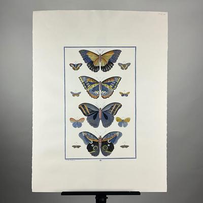 194 Antique Hand-Colored Butterfly Engraving Entomological Plate