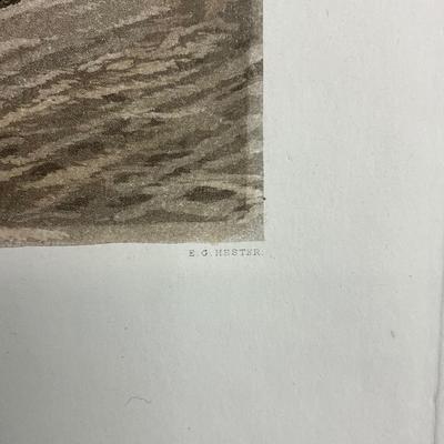 196 Fox Hunt Etching "A Hunting Morning" By Sheldon Williams