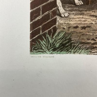 196 Fox Hunt Etching "A Hunting Morning" By Sheldon Williams