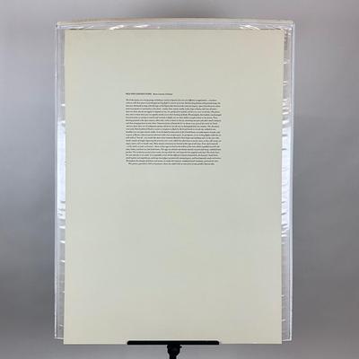 199 After John James Audubon Red-Shouldered Hawk Bird Print (Facsimile Edition) Plate #56