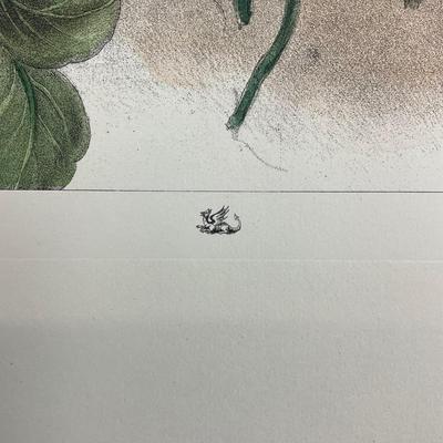 203 Hand-Colored Floral Botanical Printed In Italy By Anna Peters