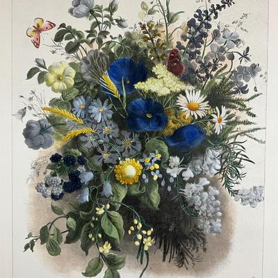 203 Hand-Colored Floral Botanical Printed In Italy By Anna Peters