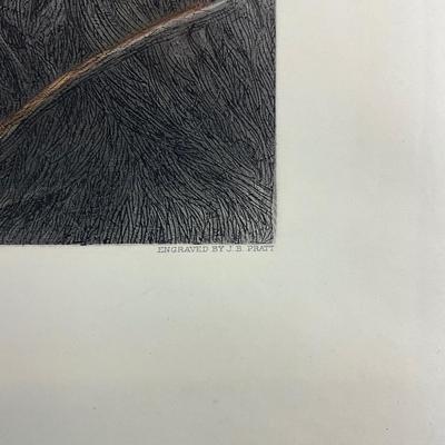 205 Restrike Hand-Colored Engraving By Joseph Bishop Pratt After Heywood Hardy British (1854-1910)