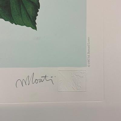 206 Botanical "Blue Winged Warblers" In 1987 By M. Bernard Loates #260/1000