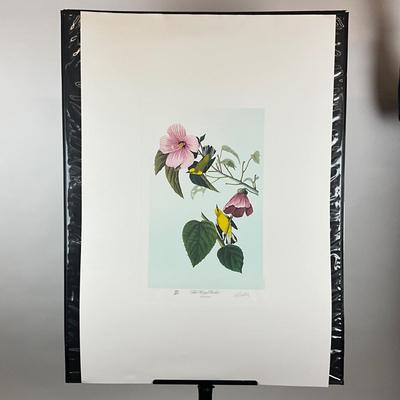 206 Botanical "Blue Winged Warblers" In 1987 By M. Bernard Loates #260/1000