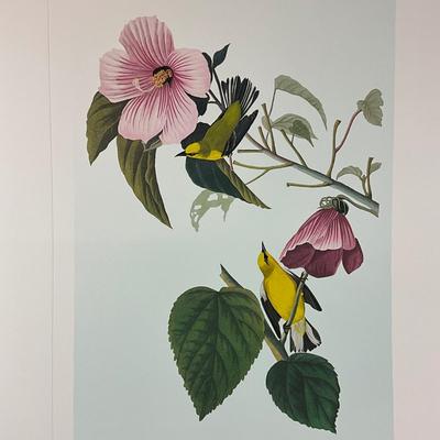 206 Botanical "Blue Winged Warblers" In 1987 By M. Bernard Loates #260/1000