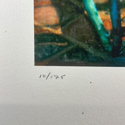 216 Giclee On Paper Of Metal Chairs Balcony Scene Signed and Numbered #10/175 By Ernesto Rodrigues