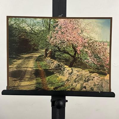 236 Vintage Wallace Nutting Color Photo "Honeymoon Stroll"