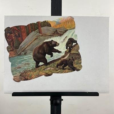 247 Field And Stream June 1955 Big Bear Stealing Camping Gear And Food and Bear Art