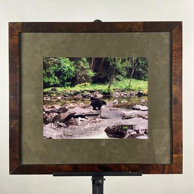 247 Field And Stream June 1955 Big Bear Stealing Camping Gear And Food and Bear Art