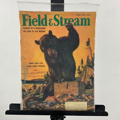 247 Field And Stream June 1955 Big Bear Stealing Camping Gear And Food and Bear Art