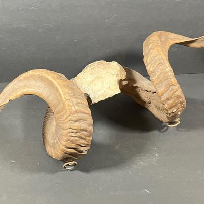 LOT 272Y: Lot of Sports and Non-Sports Toys and Collectibles