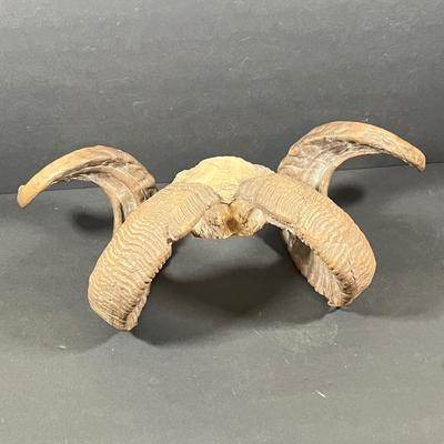 LOT 272Y: Lot of Sports and Non-Sports Toys and Collectibles