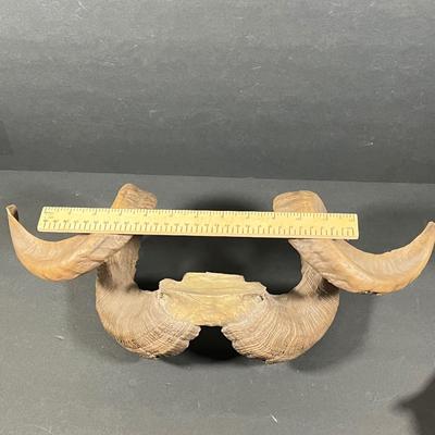 LOT 272Y: Lot of Sports and Non-Sports Toys and Collectibles