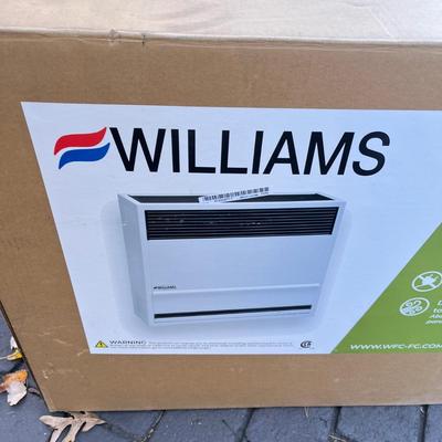 LOT 273G: Williams Direct Vent 22,000 BTU Home Furnace - Model 2203822