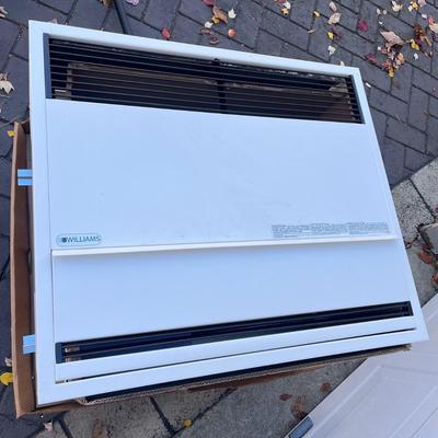 LOT 273G: Williams Direct Vent 22,000 BTU Home Furnace - Model 2203822