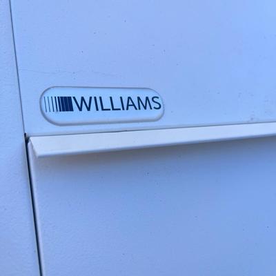 LOT 273G: Williams Direct Vent 22,000 BTU Home Furnace - Model 2203822