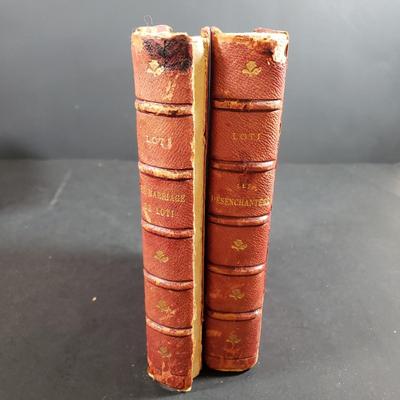 LOT 319B: Collection of Antique Books