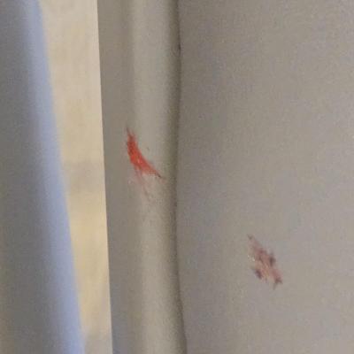 LOT 444B: Six Grey Folding Chairs /3 with Fabric Seats and 3 with Leather-Like Seats