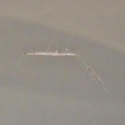 LOT 444B: Six Grey Folding Chairs /3 with Fabric Seats and 3 with Leather-Like Seats