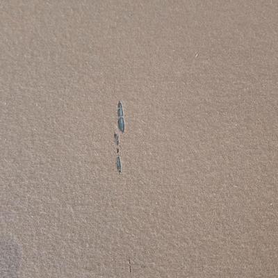 LOT 455B: Brunswick Billiards Table / Located Near Ground Level Door