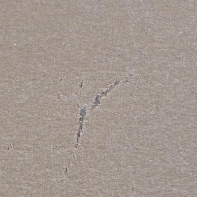 LOT 455B: Brunswick Billiards Table / Located Near Ground Level Door