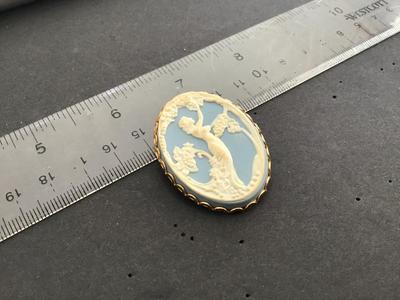 Vintage Blue Cameo Fashion Brooch