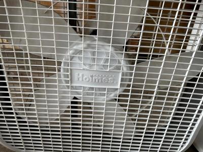 PELONIS OSCILLATING 16” STAND FAN AND BOX FAN