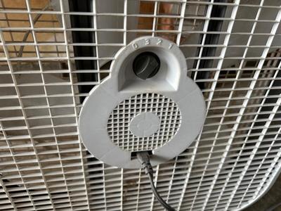 PELONIS OSCILLATING 16” STAND FAN AND BOX FAN