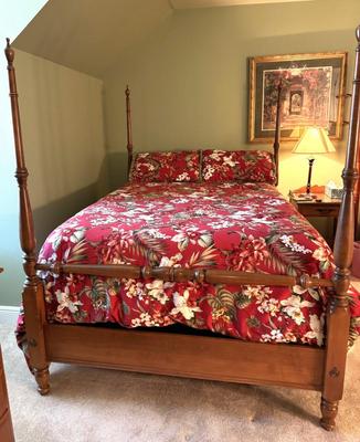 Vintage Princess Canopy Bed with Removable Canopy