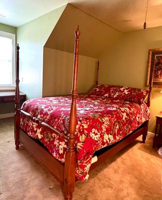 Vintage Princess Canopy Bed with Removable Canopy