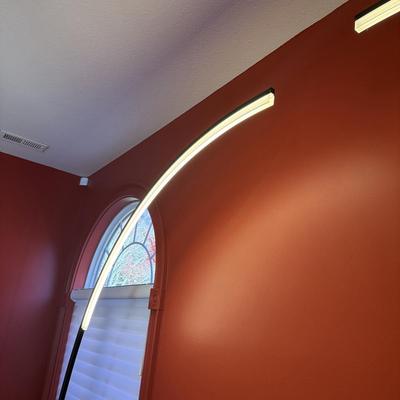 Pair of LED Arc Floor Lamps