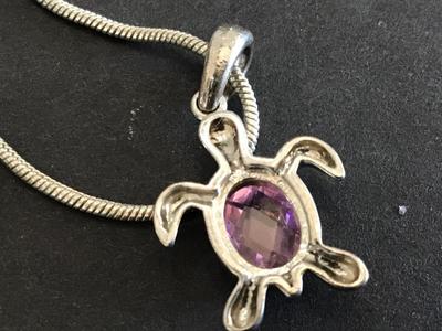 Non Magnetic Turtle Silver Pendant and Chain
