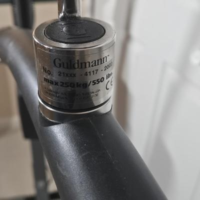 LOT 520B: Guldman Hoyer Lift