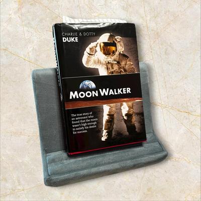 Sale Photo Thumbnail #310: Soft Blue Bookstand For Bedtime Reading (book not included)