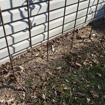 Three Rustic Iron Trellises