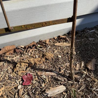 Three Rustic Iron Trellises