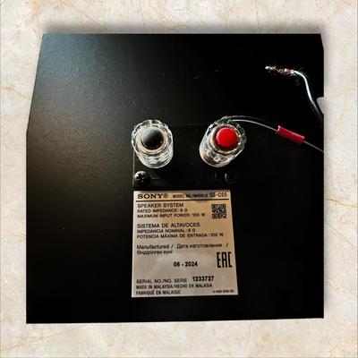 2 Sony Speakers
