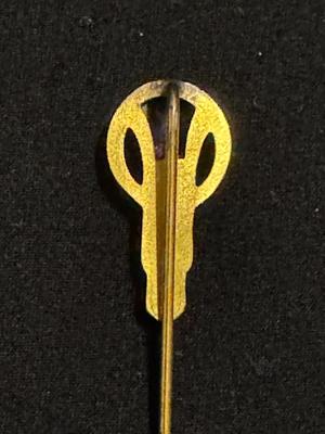 Antique Lady's Lapel Pin