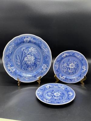 Spode Blue Room Collection “Botanical”