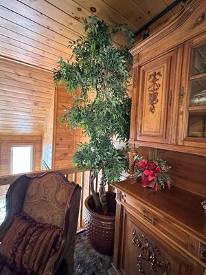 Sale Photo Thumbnail #30: HUGE Artificial Tree (Looks Real!) in Container