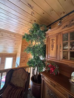 Sale Photo Thumbnail #31: HUGE Artificial Tree (Looks Real!) in Container