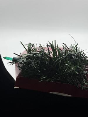 Sale Photo Thumbnail #214: .