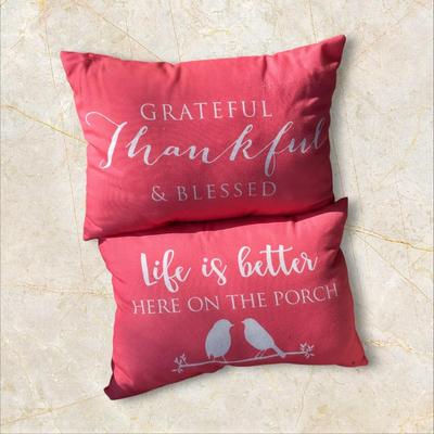 Sale Photo Thumbnail #943: 2 Throw Pillows