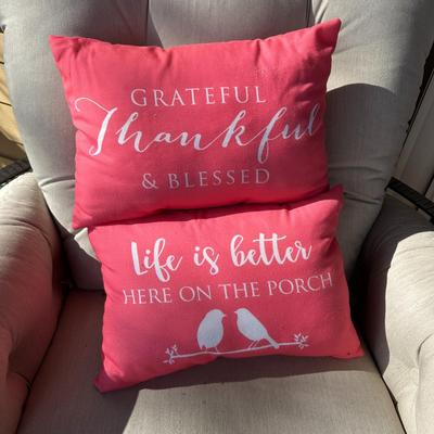 Sale Photo Thumbnail #944: 2 Throw Pillows