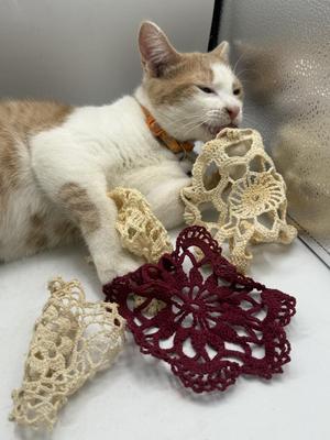 Sale Photo Thumbnail #377: .