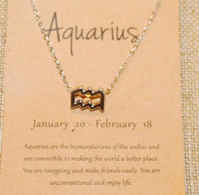 "Aquarius" Zodiac PENDANT (½" x ¼") on a Silver Tone Necklace Chain 14" L