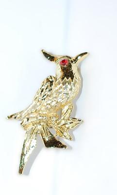 Red Eyed Parrot BROOCH (2" x 1¼") with Gold Colored Body on a Gold Tone Setting